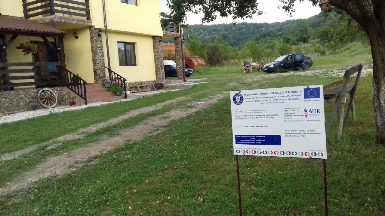 Pensiunea Gradinarilor Cu Ciubar Si Statie De Incarcare Electrica Auto Comanesti  Kültér fotó